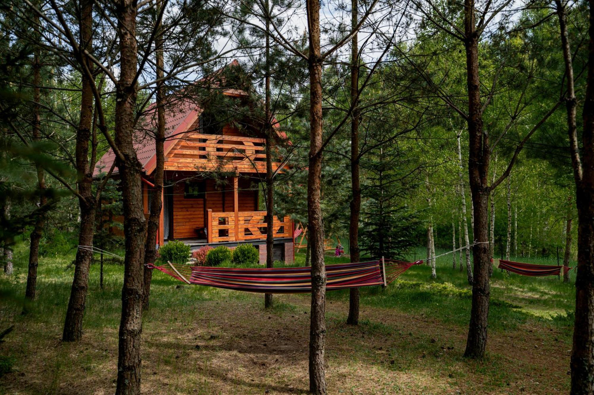 Borowa Chatka Borowy Mlyn Kültér fotó